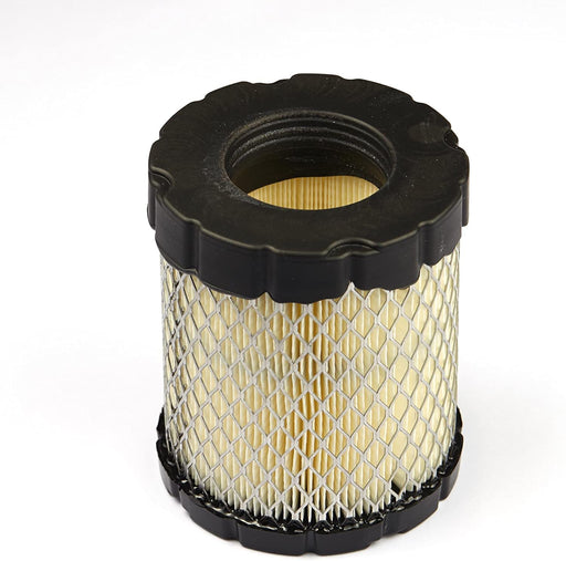 798897 Briggs and Stratton Filter
